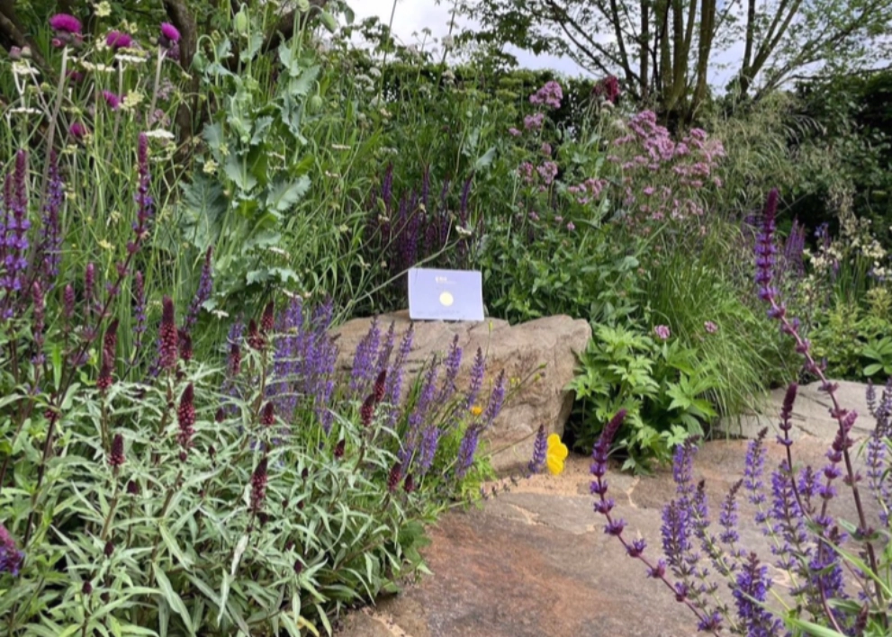 Hero Image Place2be garden - Chelsea Flower Show 2022 image come see us at On The Ground,  Residential Design,  Commercial Design, Garden or Landscape Designer in Dorking,  Site Evaluation,  On The Ground Garden or Landscape Designer,  Contractor Referrals,  Browse through our customer testimonials and see why they choose On The Ground for their garden or landscape designer requirements in Dorking, .