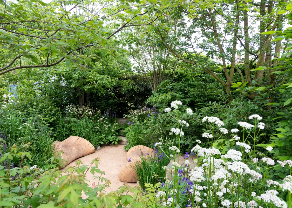 Thumb Image number 0 for Place2be garden - Chelsea Flower Show 2022 image come see us at On The Ground,  Residential Design,  Commercial Design, Garden or Landscape Designer in Dorking,  Site Evaluation,  On The Ground Garden or Landscape Designer,  Contractor Referrals,  Browse through our customer testimonials and see why they choose On The Ground for their garden or landscape designer requirements in Dorking, .